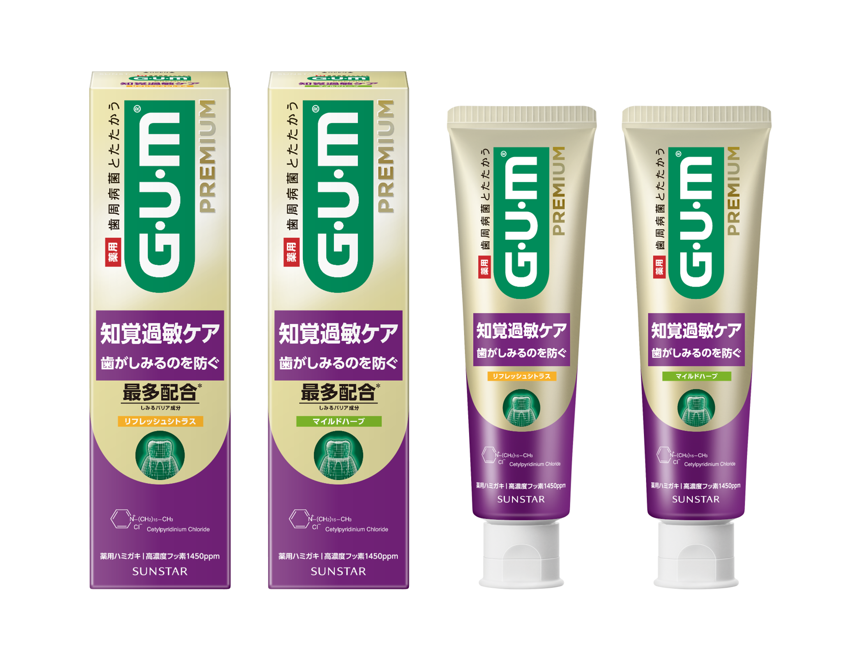ガムさん専用 10月使用予定 歯周病予防ハミガキ売上No.1*¹の「G・U・M」より 金の「ガム